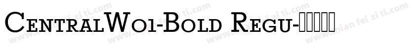 CentralW01-Bold Regu字体转换